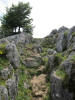 ario_path_2011_clear_080.jpg (169776 bytes)