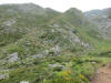 ario_path_2011_clear_092.jpg (191466 bytes)