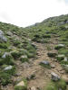 ario_path_2011_clear_110.jpg (173593 bytes)